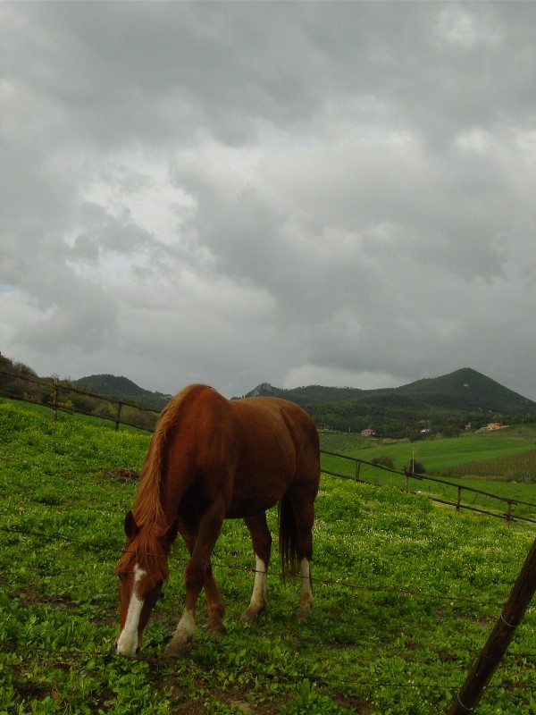 Sasso-Cerveteri